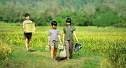 Quảng bá thương hiệu quốc gia Liên hoan Phim Việt Nam

