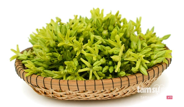 Sự tích hoa thiên lý