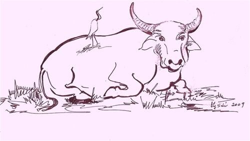 Trâu và sáo sậu