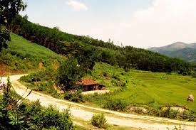 Tình cảm miền Trung thao thức trong thơ